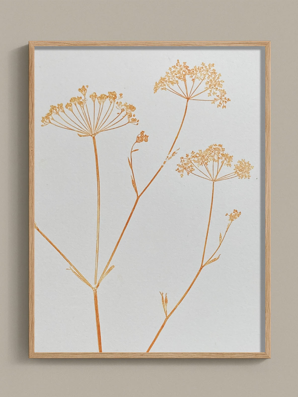 Monotype, empreinte réalisée à partir d'une vraie plante, pièce unique