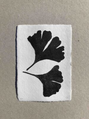 Ginkgo Biloba