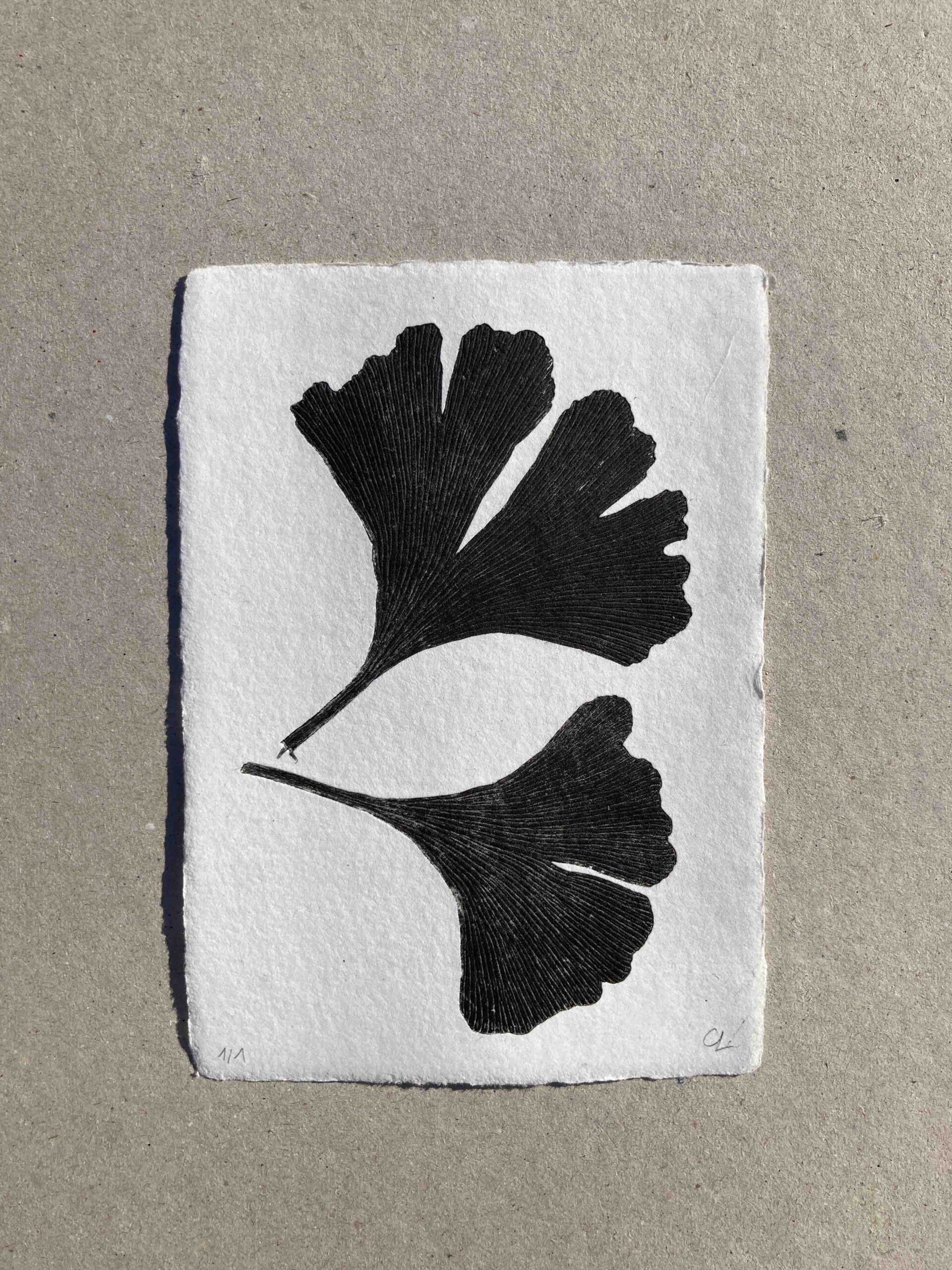 Ginkgo Biloba