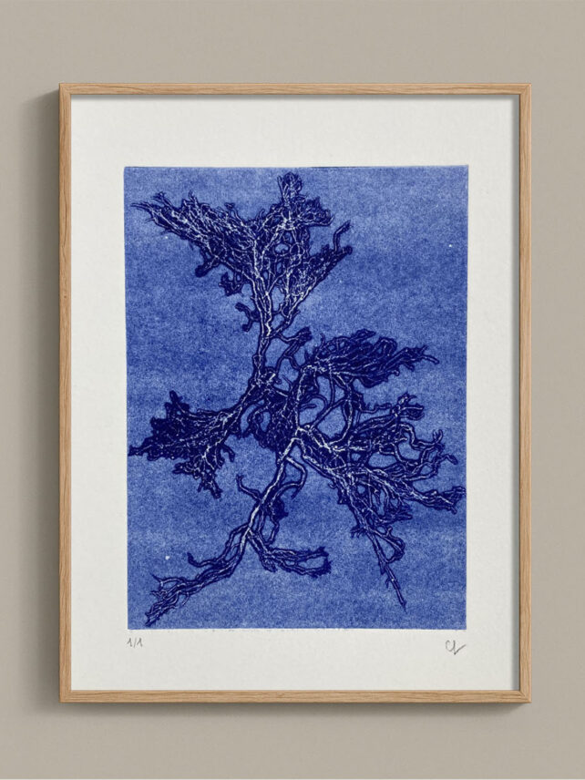 Monotype, empreinte d'une algue, pièce unique
