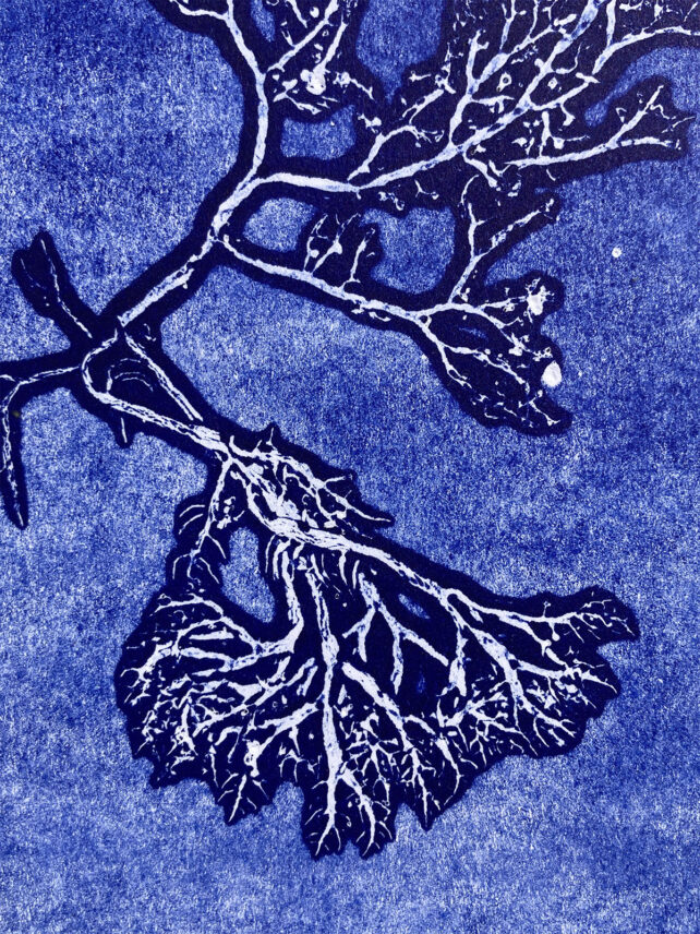 Monotype, empreinte d'une algue, pièce unique