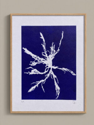 Monotype, empreinte d'une algue, pièce unique