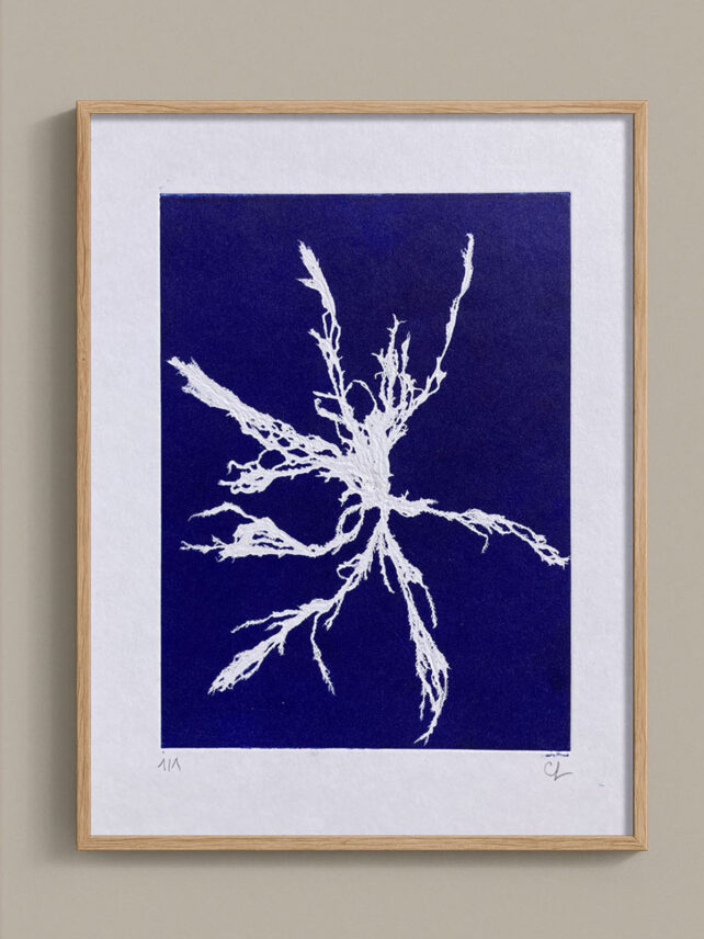 Monotype, empreinte d'une algue, pièce unique