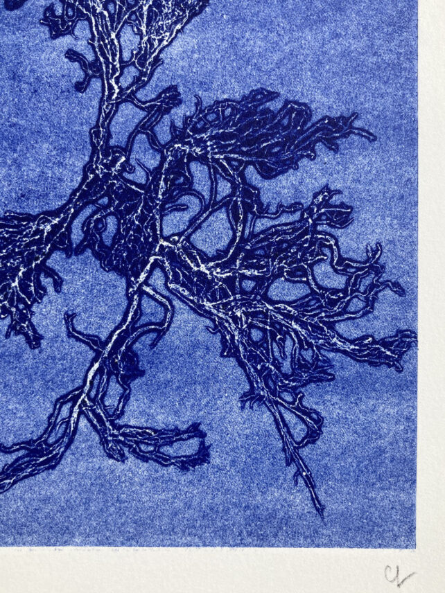Monotype, empreinte d'une algue, pièce unique