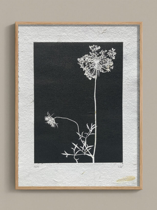 Monotype, empreinte réalisée à partir d'une vraie plante, pièce unique