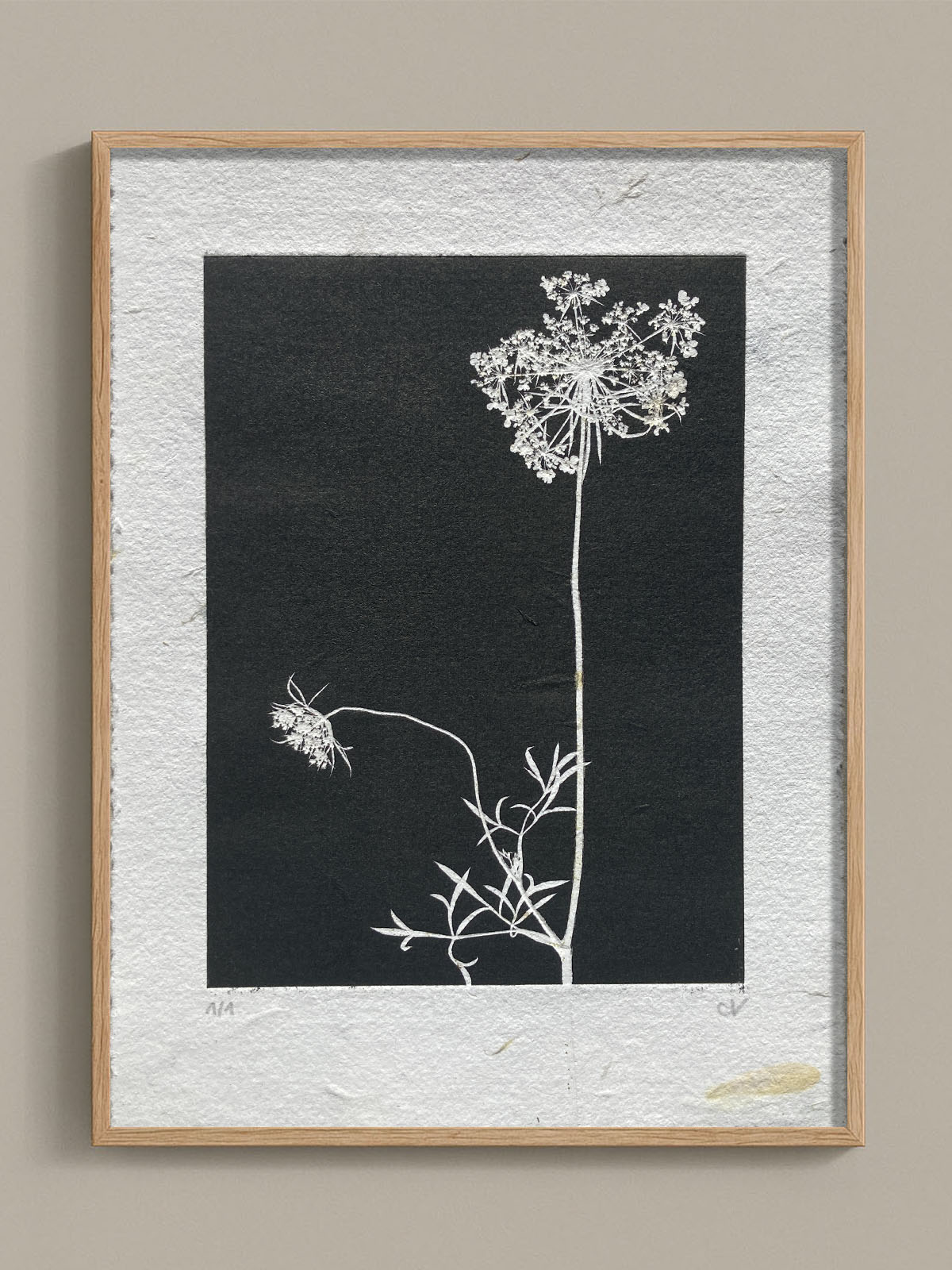 Monotype, empreinte réalisée à partir d'une vraie plante, pièce unique