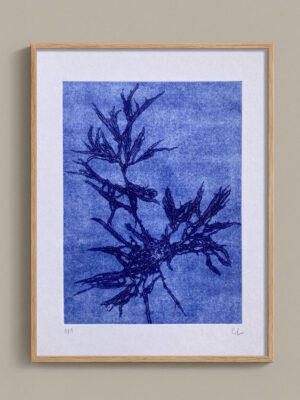 Monotype, empreinte d'une algue, pièce unique