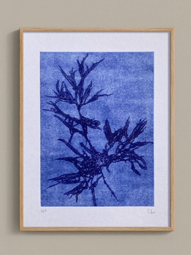 Monotype, empreinte d'une algue, pièce unique