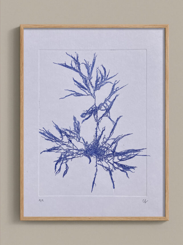 Monotype, empreinte d'une algue, pièce unique