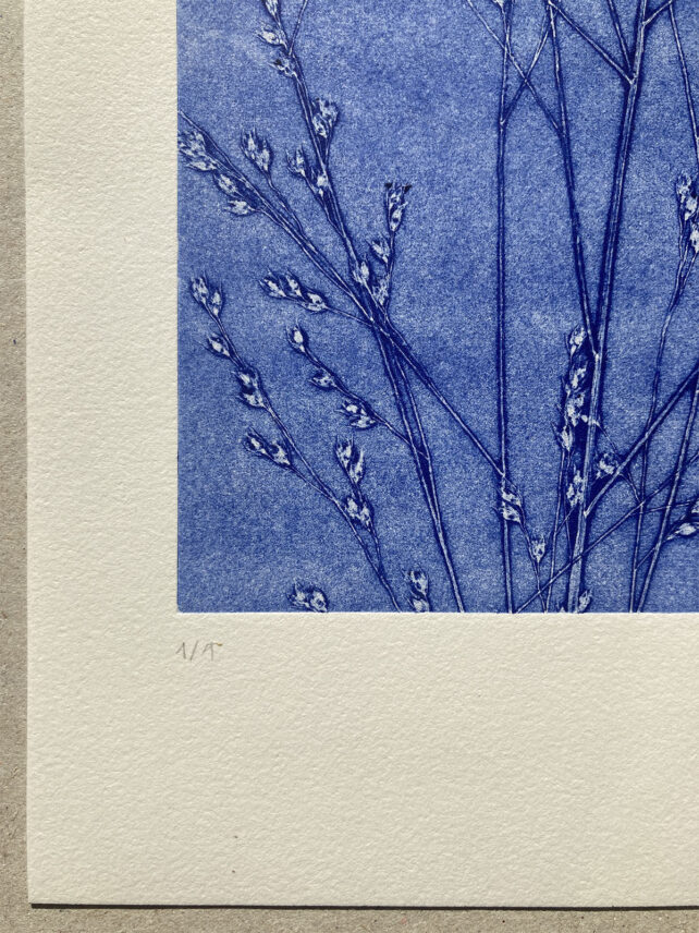Monotype, empreinte réalisée à partir d'une vraie plante, pièce unique