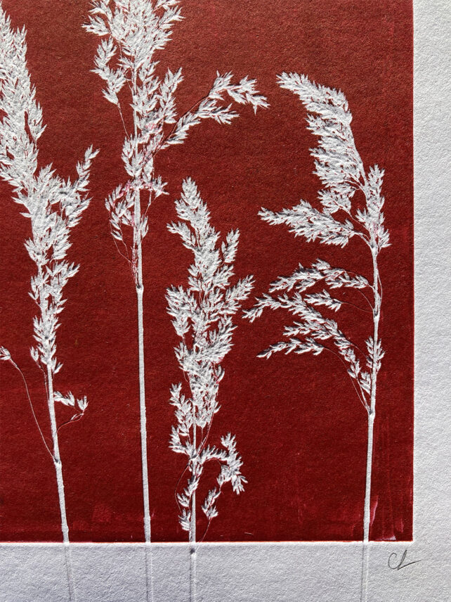 Monotype, empreinte réalisée à partir d'une vraie plante, pièce unique