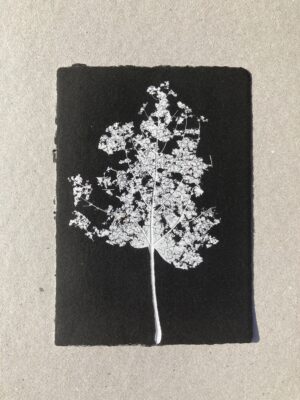 Feuille