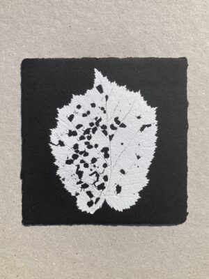 Feuille