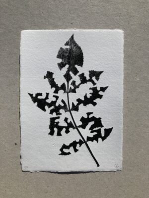 Feuille