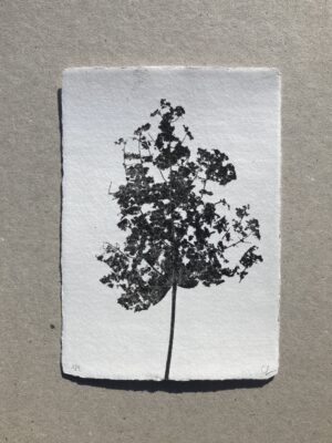 Feuille