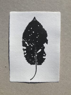 Feuille