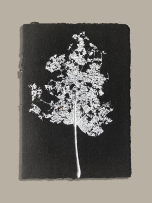 Monotype, empreinte réalisée à partir d'une vraie plante, pièce unique