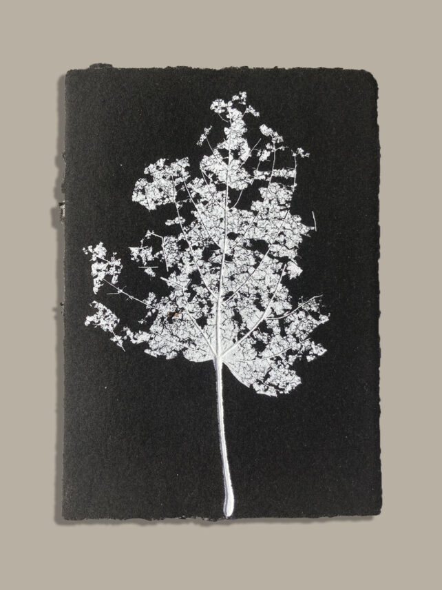 Monotype, empreinte réalisée à partir d'une vraie plante, pièce unique
