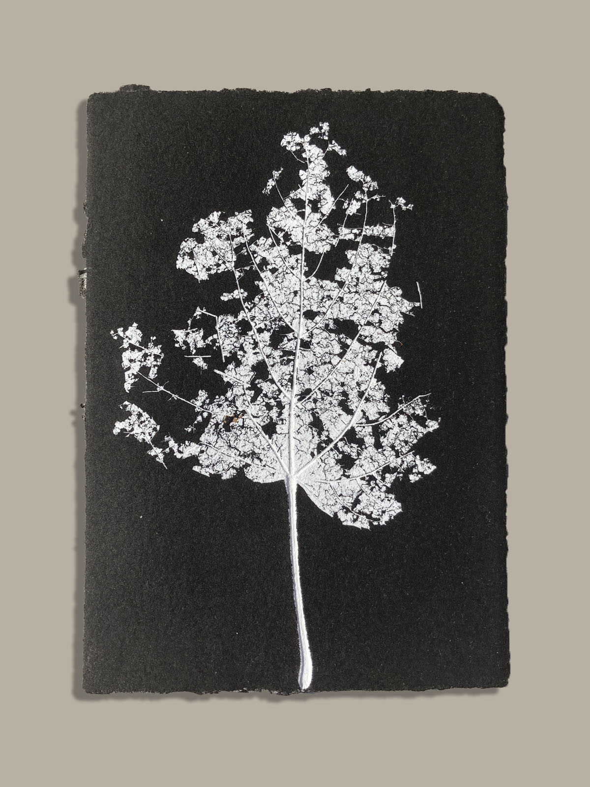 Feuille