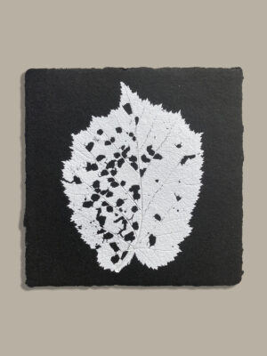 Monotype, empreinte réalisée à partir d'une vraie plante, pièce unique