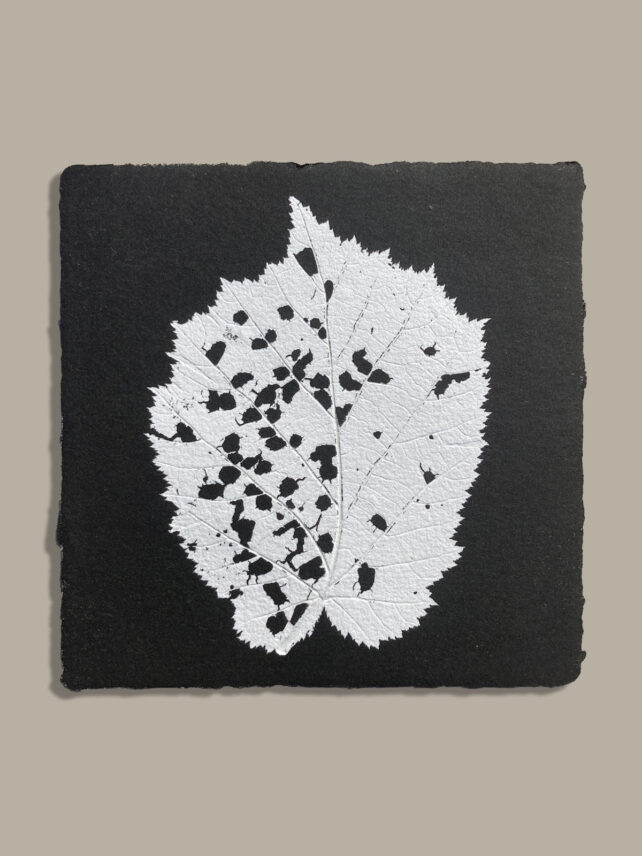 Monotype, empreinte réalisée à partir d'une vraie plante, pièce unique