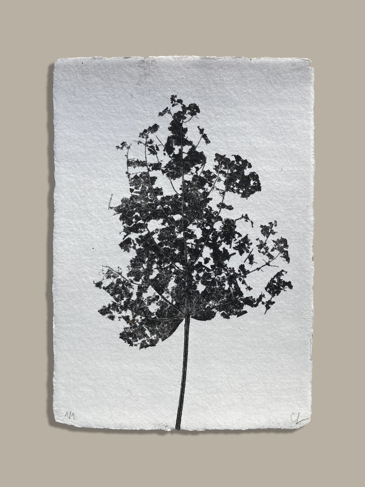 Feuille