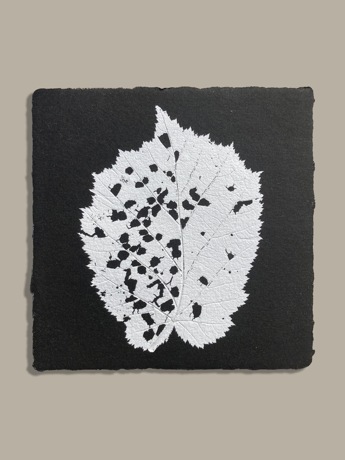 Feuille