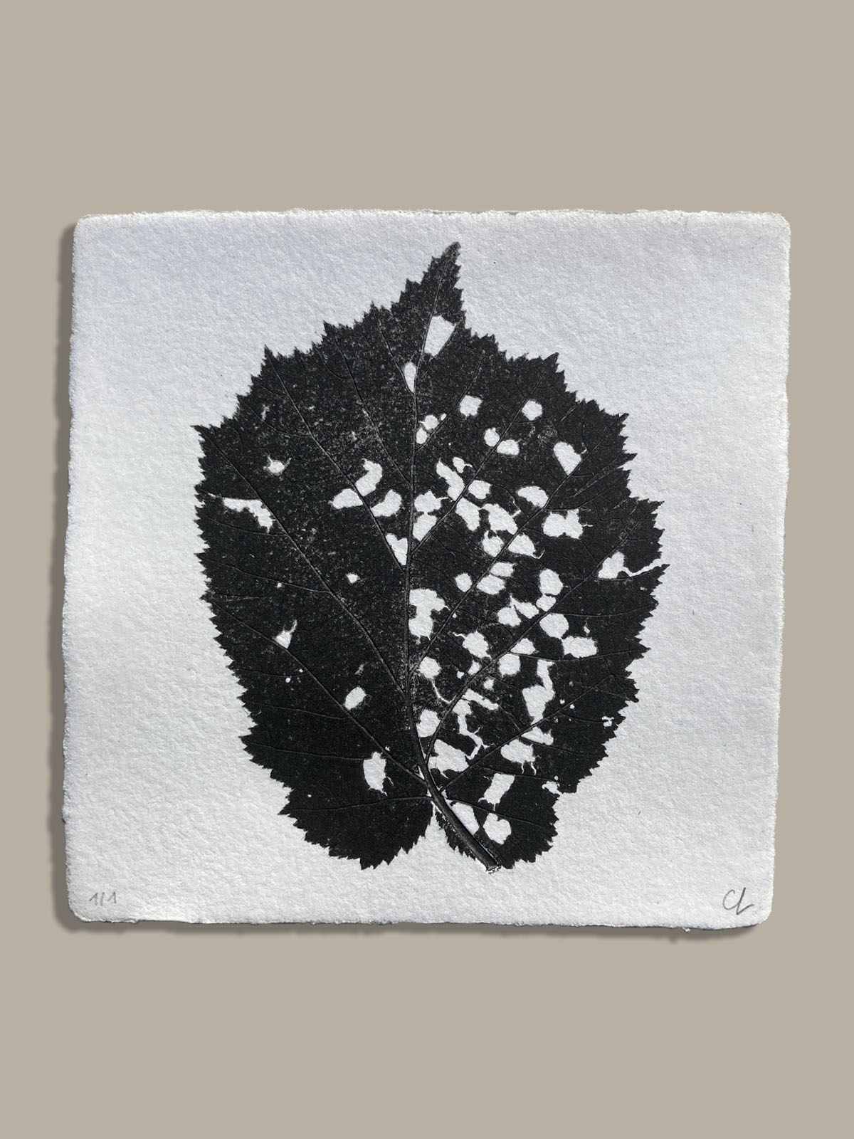 Feuille