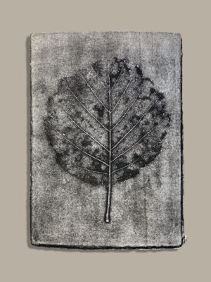 Monotype, empreinte réalisée à partir d'une vraie plante, pièce unique