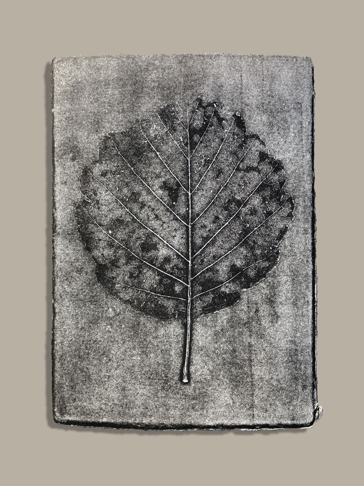 Feuille