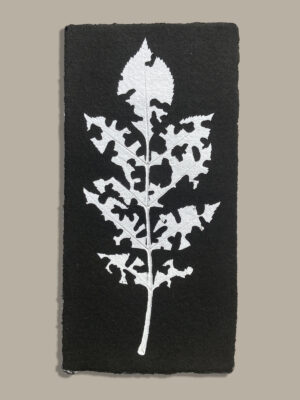 Monotype, empreinte réalisée à partir d'une vraie plante, pièce unique