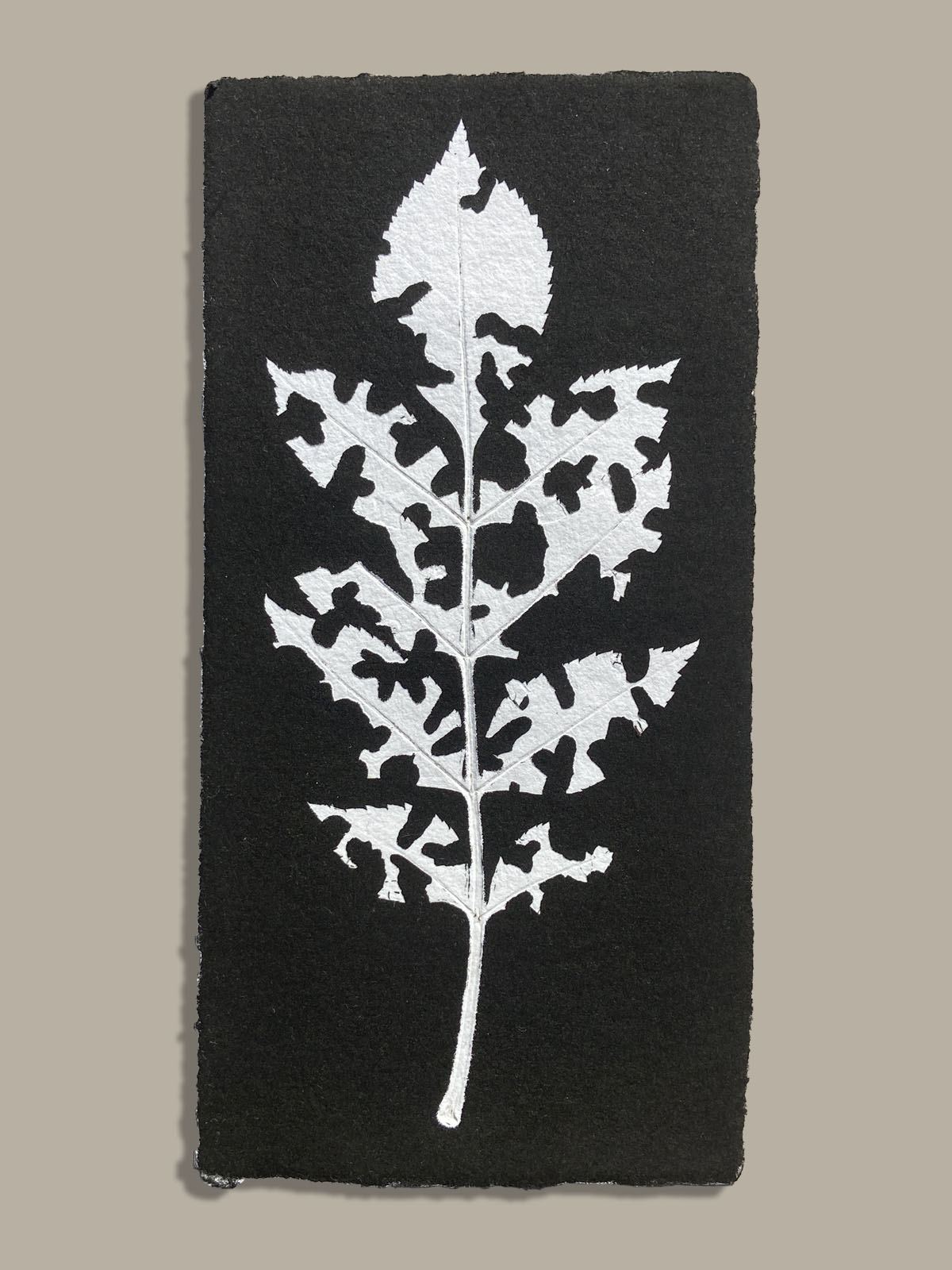 Feuille