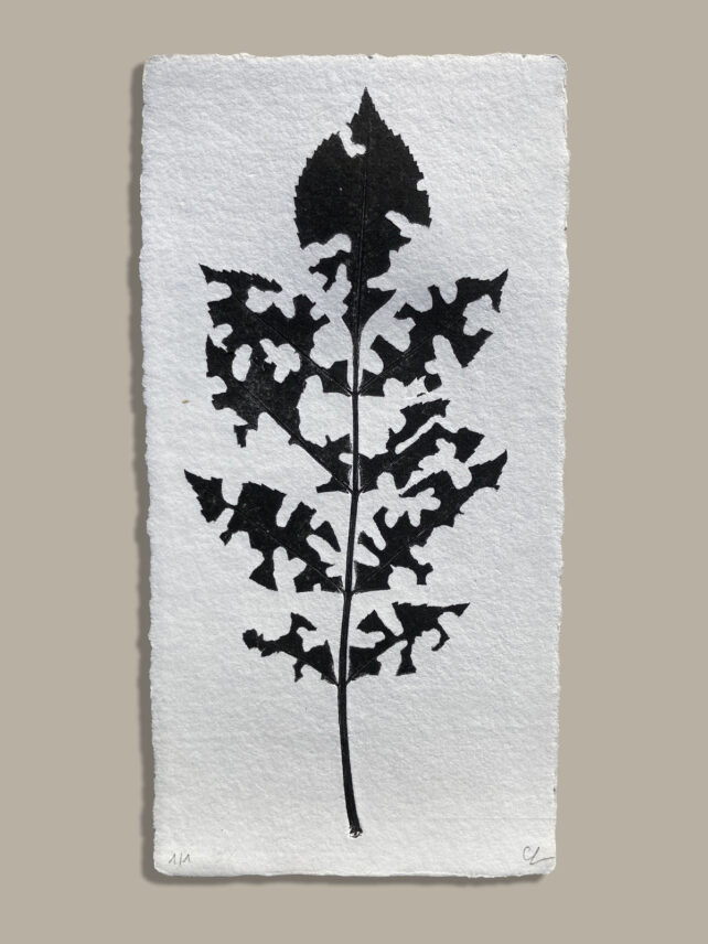 Monotype, empreinte réalisée à partir d'une vraie plante, pièce unique