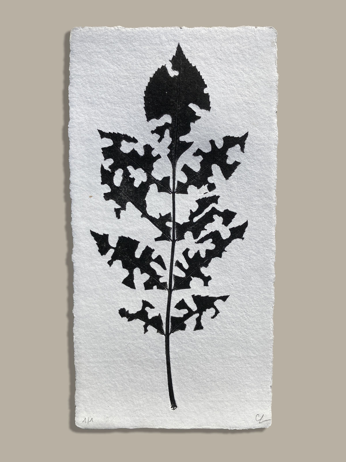 Feuille