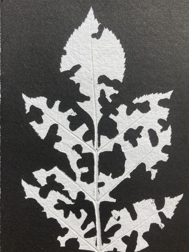 Monotype, empreinte réalisée à partir d'une vraie plante, pièce unique