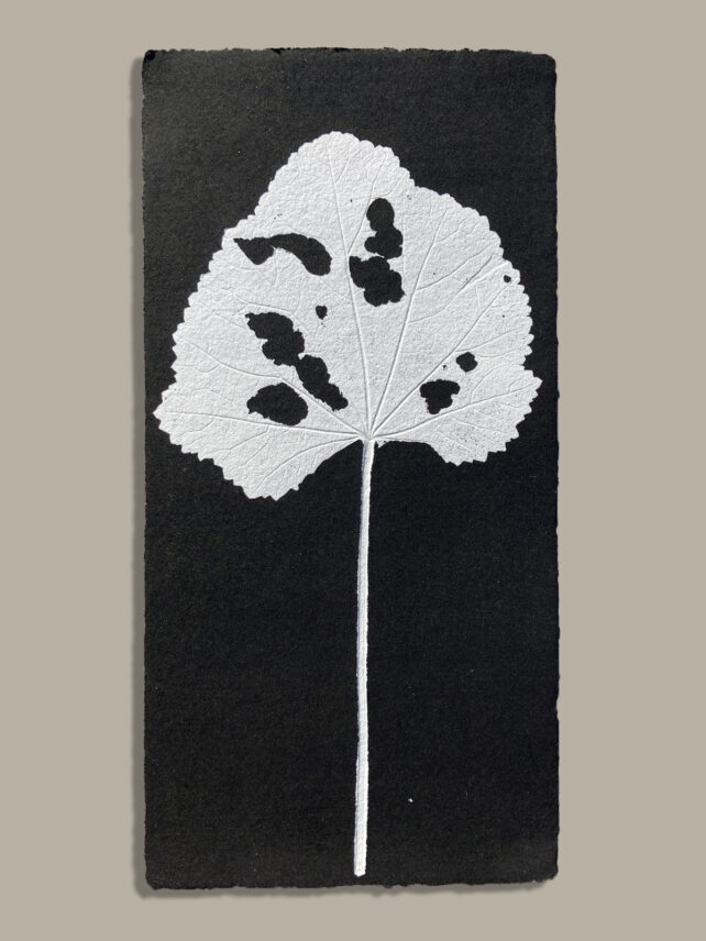 Monotype, empreinte réalisée à partir d'une vraie plante, pièce unique