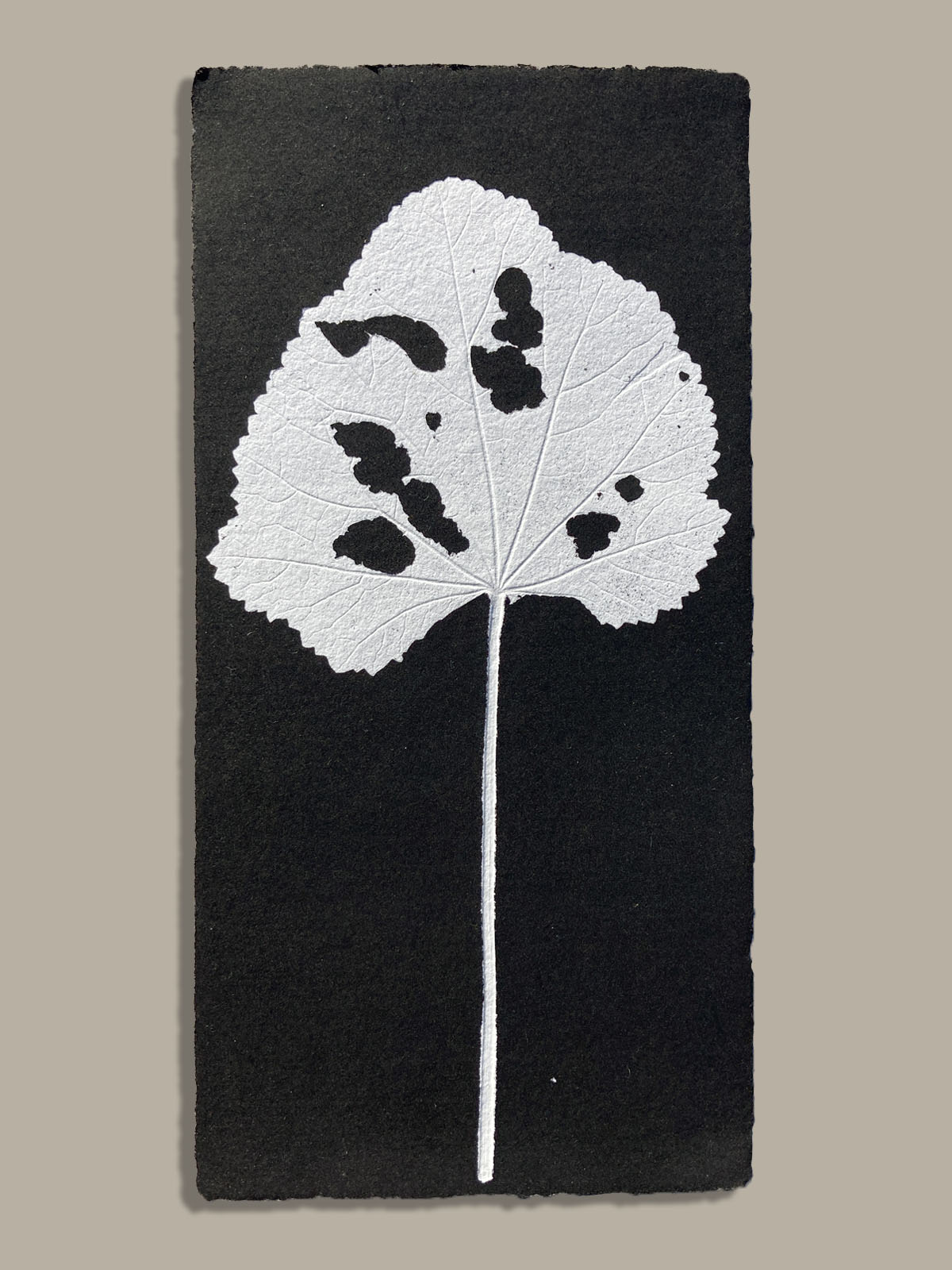 Feuille