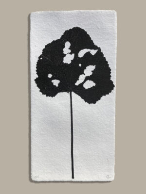 Monotype, empreinte réalisée à partir d'une vraie plante, pièce unique