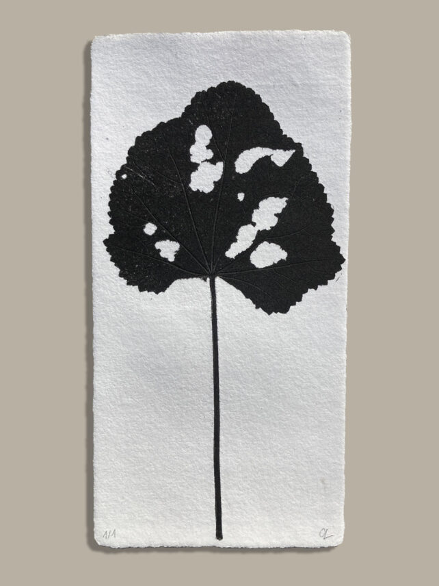 Monotype, empreinte réalisée à partir d'une vraie plante, pièce unique