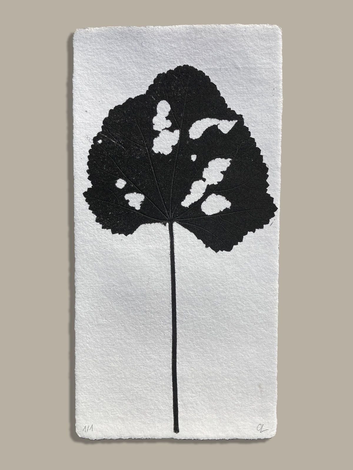 Feuille