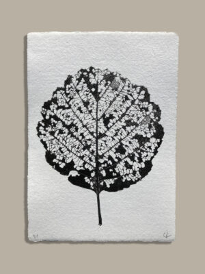 Monotype, empreinte réalisée à partir d'une vraie plante, pièce unique