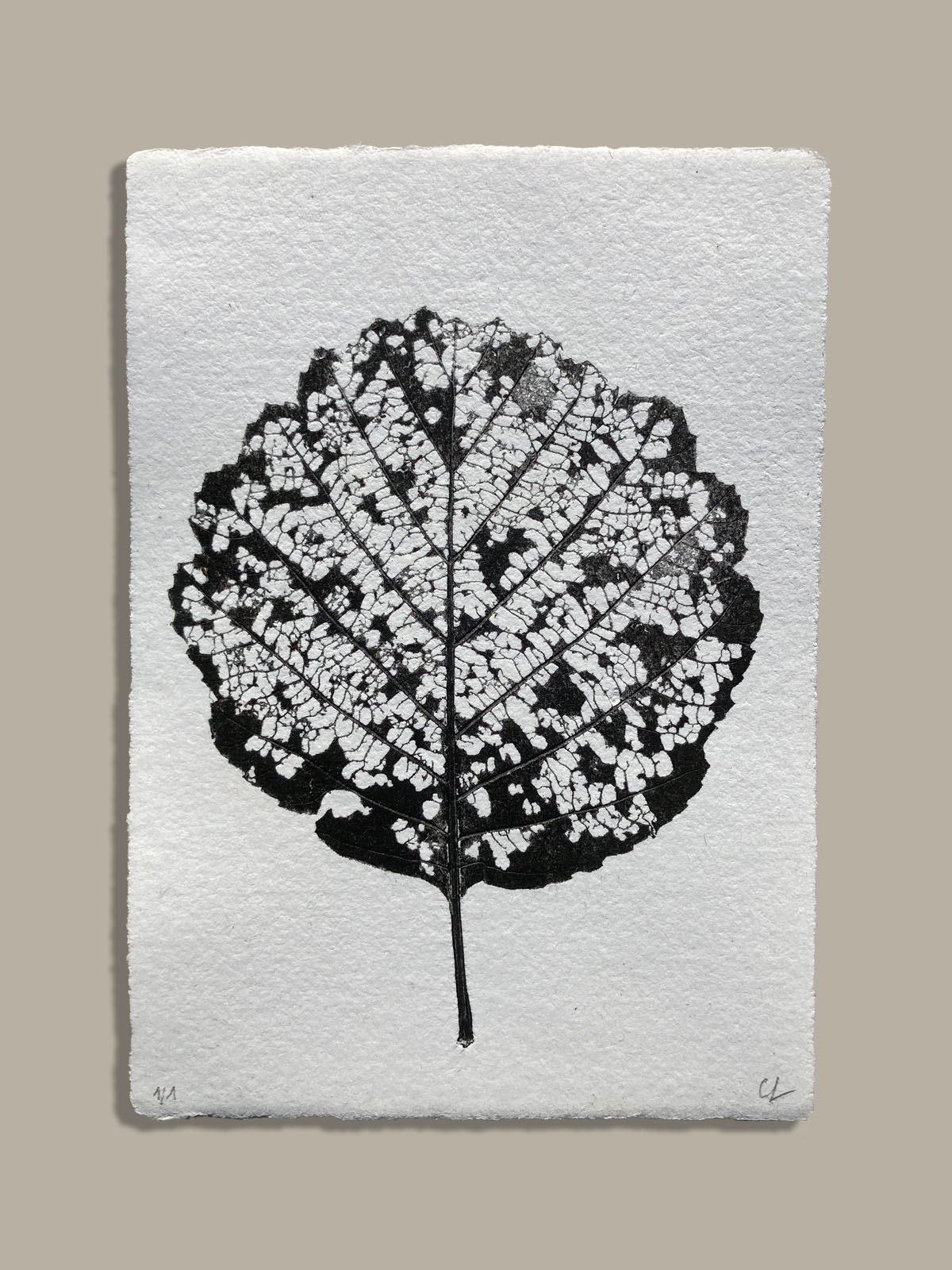 Feuille