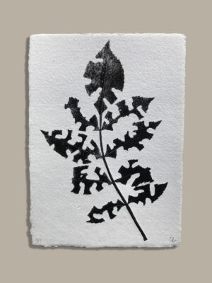 Monotype, empreinte réalisée à partir d'une vraie plante, pièce unique