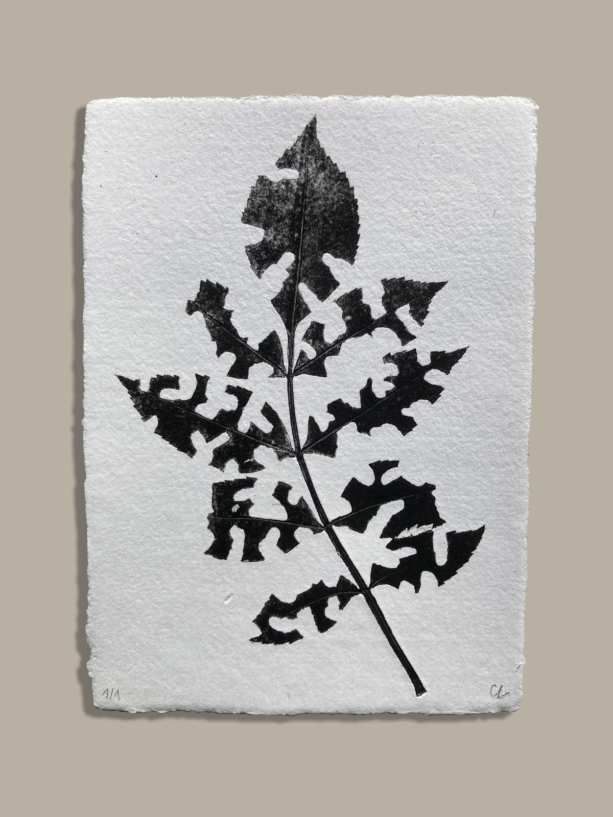 Feuille