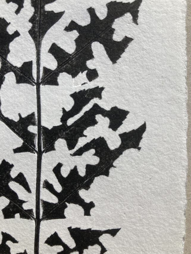 Monotype, empreinte réalisée à partir d'une vraie plante, pièce unique