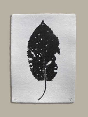 Monotype, empreinte réalisée à partir d'une vraie plante, pièce unique