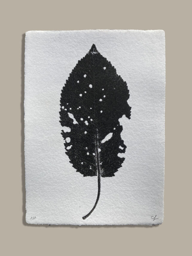 Monotype, empreinte réalisée à partir d'une vraie plante, pièce unique