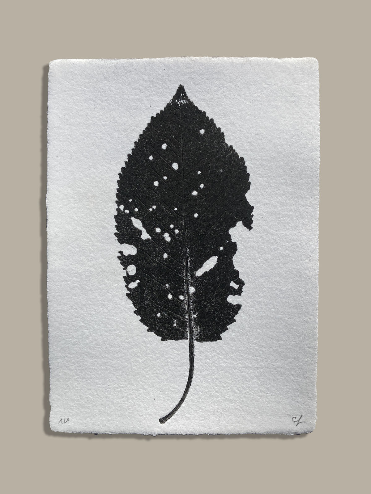 Feuille
