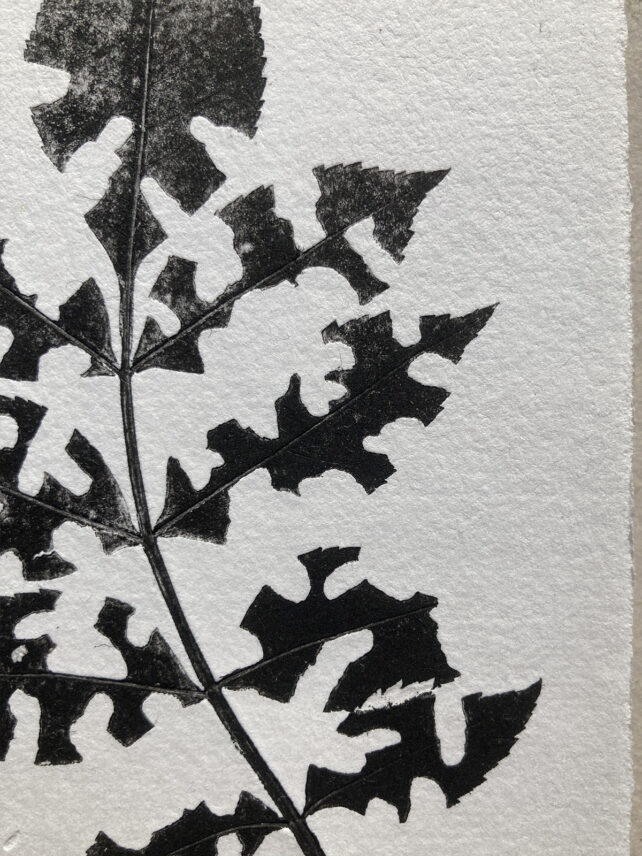 Monotype, empreinte réalisée à partir d'une vraie plante, pièce unique