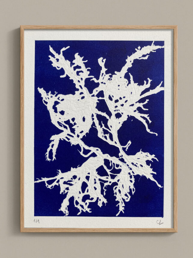 Monotype, empreinte d'une algue, pièce unique